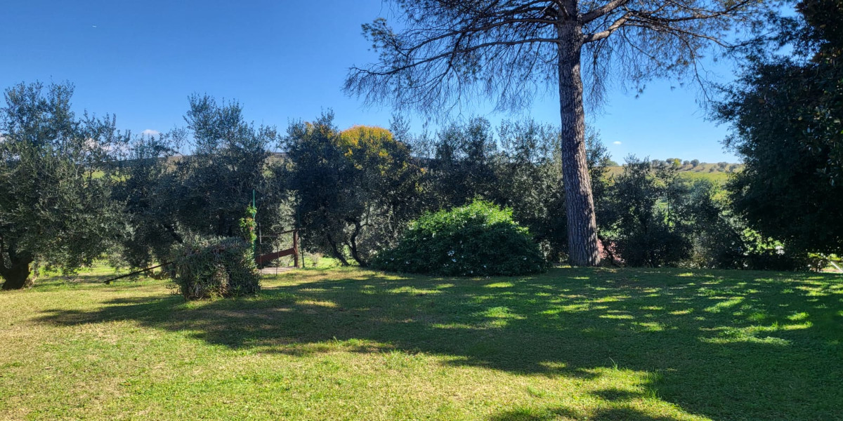 Esterno della struttura