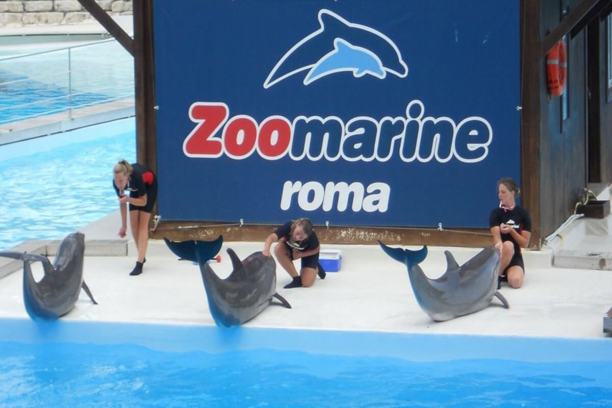 Zoomarine